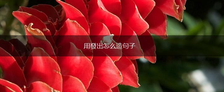 用發出怎么造句子,第1张 用發出怎么造句子,第1张