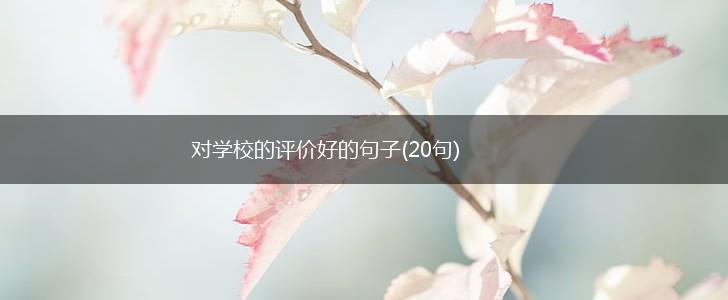 对学校的评价好的句子(20句),第1张