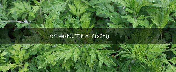 女生事业励志的句子(50句),第1张