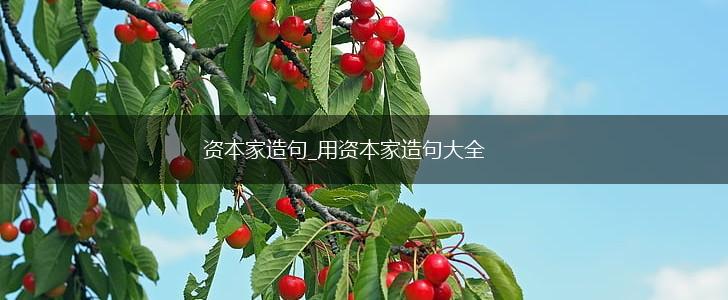 资本家造句_用资本家造句大全,第1张