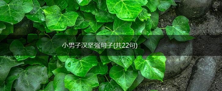 小男子汉坚强句子(共22句),第1张
