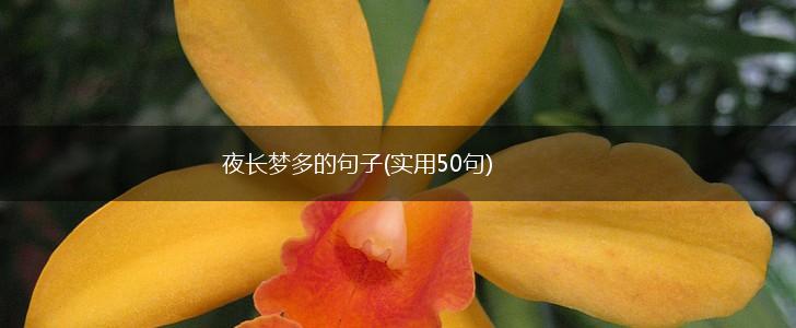 夜长梦多的句子(实用50句),第1张
