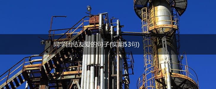 同学团结友爱的句子(实用53句),第1张