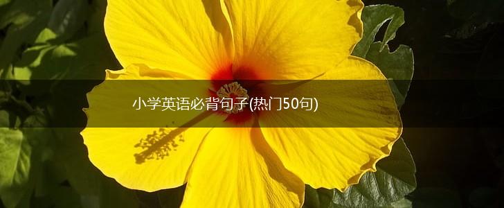 小学英语必背句子(热门50句),第1张
