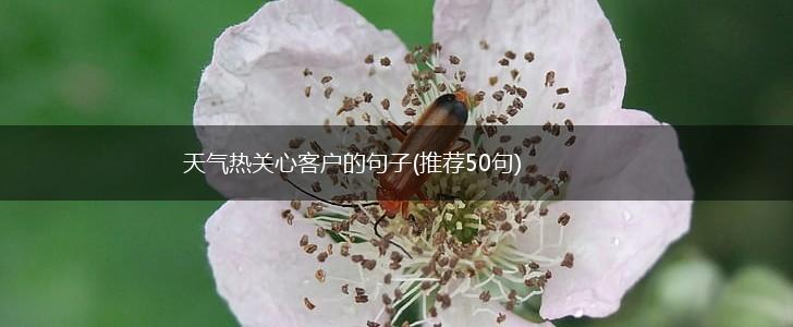天气热关心客户的句子(推荐50句),第1张