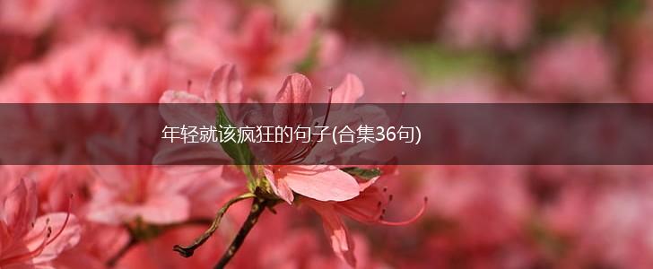 年轻就该疯狂的句子(合集36句),第1张
