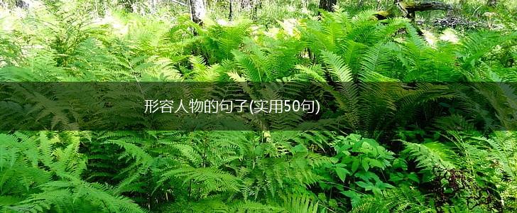 形容人物的句子(实用50句),第1张