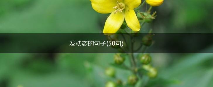 发动态的句子(50句),第1张
