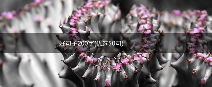 好句子200字(优选50句),第1张