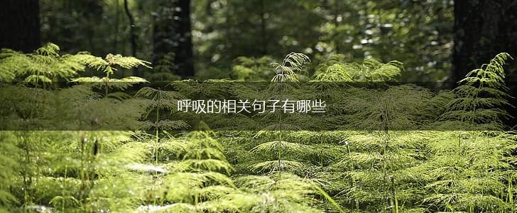 呼吸的相关句子有哪些,第1张 呼吸的相关句子有哪些,第1张