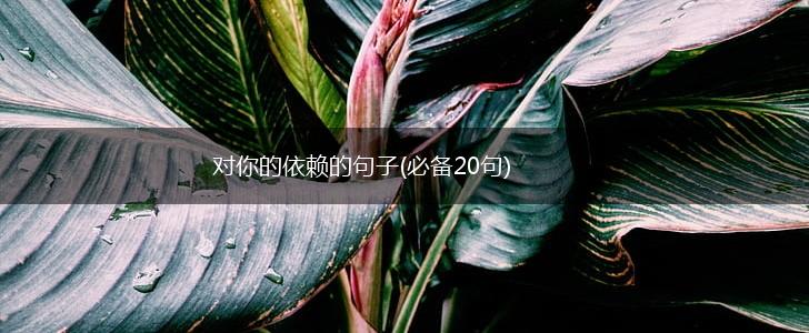 对你的依赖的句子(必备20句),第1张