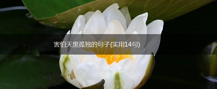 害怕天黑孤独的句子(实用14句),第1张