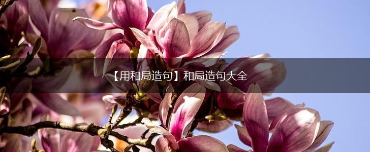 【用和局造句】和局造句大全,第1张 【用和局造句】和局造句大全,第1张