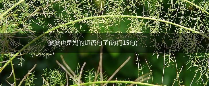 婆婆也是妈的短语句子(热门15句),第1张
