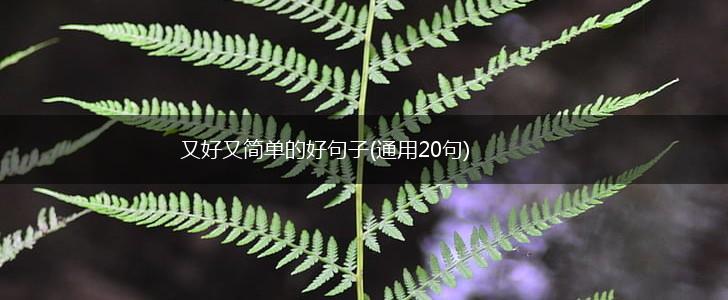 又好又简单的好句子(通用20句),第1张