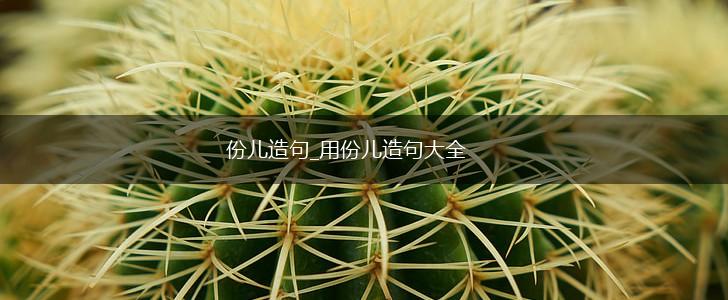 份儿造句_用份儿造句大全,第1张