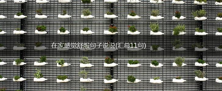 在家感觉舒服句子说说(汇总11句),第1张