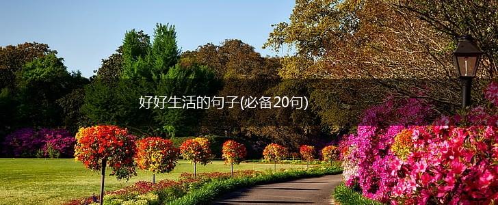好好生活的句子(必备20句),第1张