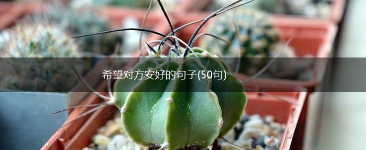 希望对方安好的句子(50句),第1张