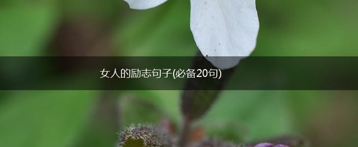 女人的励志句子(必备20句),第1张