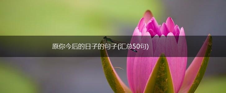 原你今后的日子的句子(汇总50句),第1张