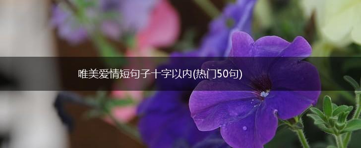 唯美爱情短句子十字以内(热门50句),第1张
