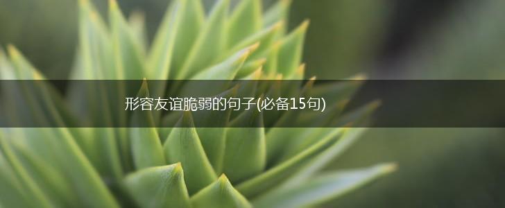 形容友谊脆弱的句子(必备15句),第1张