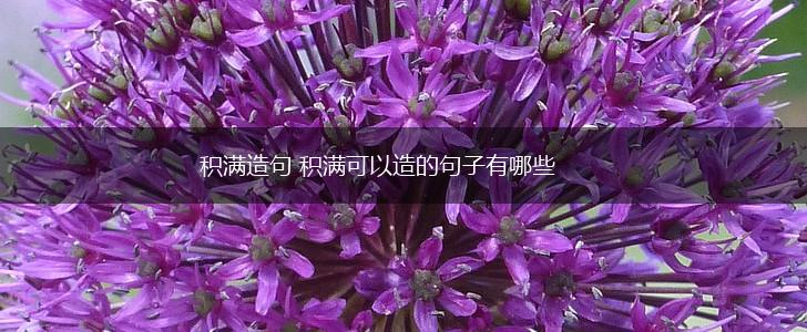 积满造句 积满可以造的句子有哪些,第1张 积满造句 积满可以造的句子有哪些,第1张