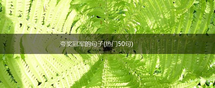 夸奖冠军的句子(热门50句),第1张