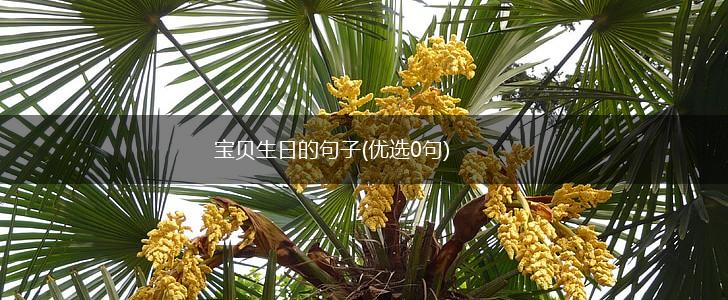 宝贝生日的句子(优选0句),第1张