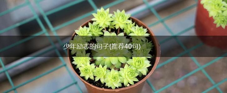 少年励志的句子(推荐40句),第1张