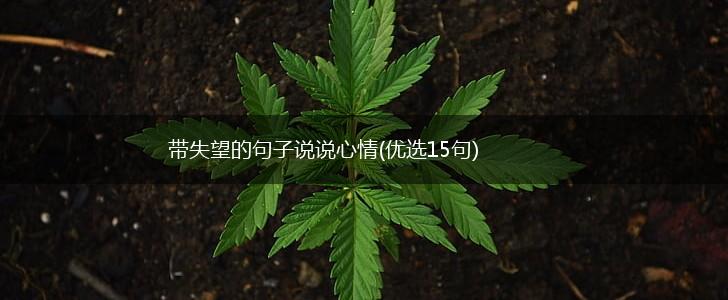 带失望的句子说说心情(优选15句),第1张
