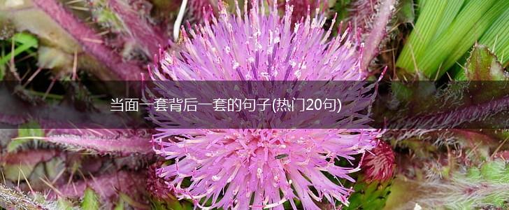 当面一套背后一套的句子(热门20句),第1张