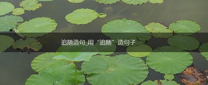 追随造句_用“追随”造句子,第1张 追随造句_用“追随”造句子,第1张