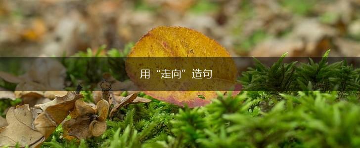用“走向”造句,第1张