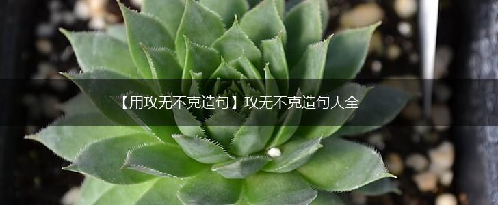 【用攻无不克造句】攻无不克造句大全,第1张 【用攻无不克造句】攻无不克造句大全,第1张