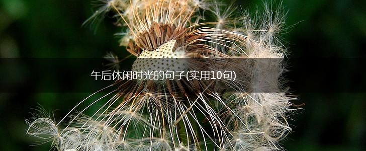 午后休闲时光的句子(实用10句),第1张