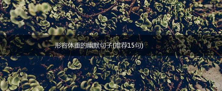形容体重的幽默句子(推荐15句),第1张
