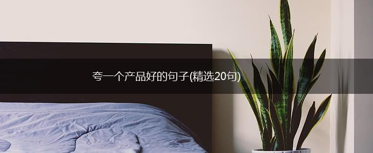 夸一个产品好的句子(精选20句),第1张