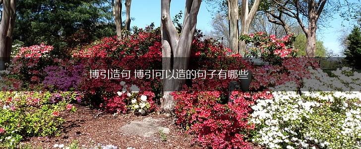 博引造句 博引可以造的句子有哪些,第1张