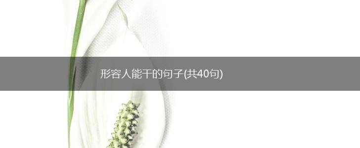 形容人能干的句子(共40句),第1张