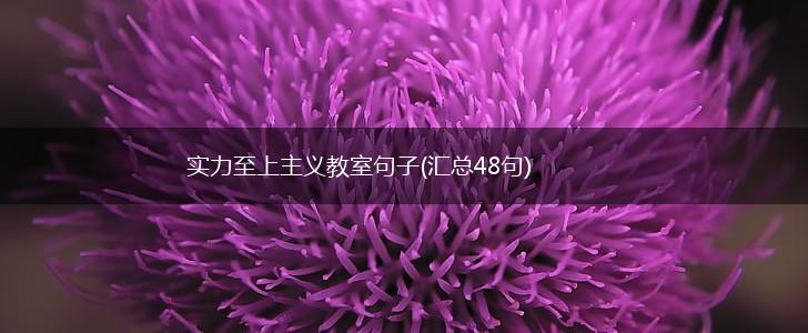 实力至上主义教室句子(汇总48句),第1张