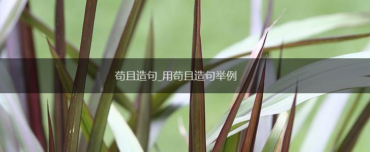 苟且造句_用苟且造句举例,第1张