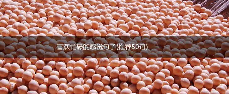 喜欢忙碌的感觉句子(推荐50句),第1张