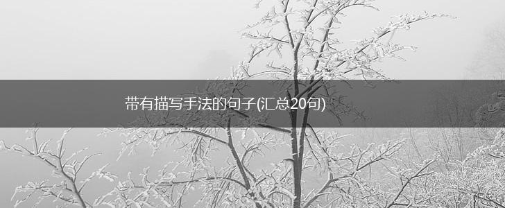 带有描写手法的句子(汇总20句),第1张