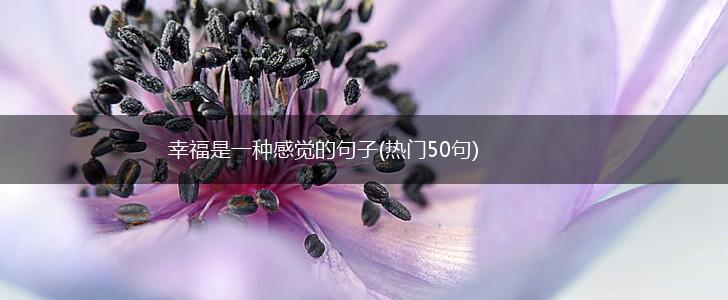 幸福是一种感觉的句子(热门50句),第1张