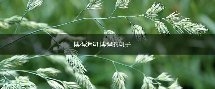 博得造句,博得的句子,第1张