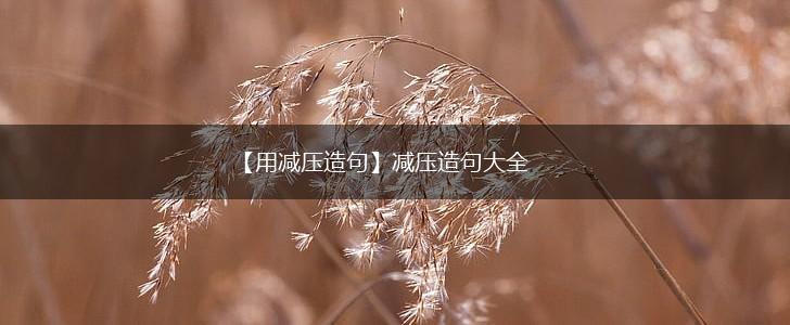 【用减压造句】减压造句大全,第1张 【用减压造句】减压造句大全,第1张