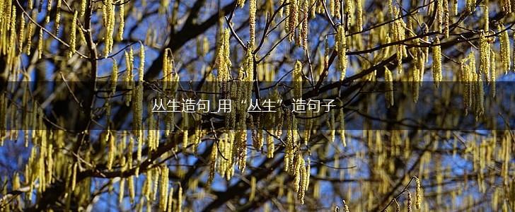 丛生造句_用“丛生”造句子,第1张