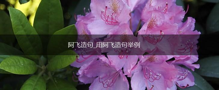 阿飞造句_用阿飞造句举例,第1张